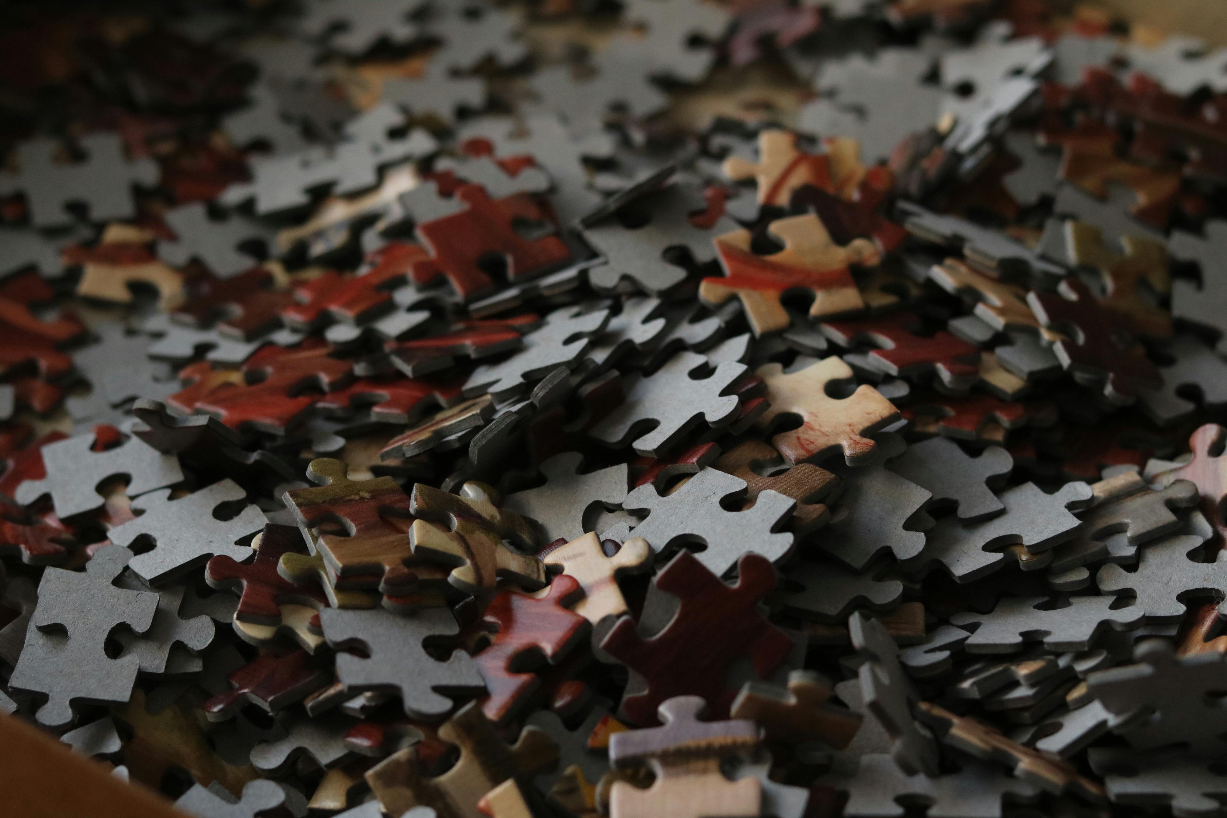 A founder's personal brand pieces laid out - photo, profile, identity